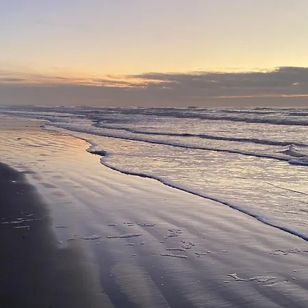 Holiday home Beautiful With Sauna And Garden