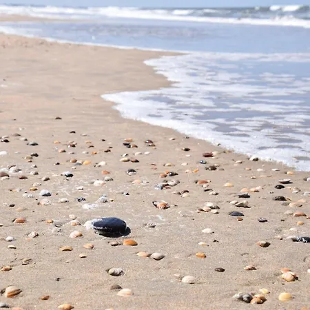 Beautiful With Sauna And Garden Wijk aan Zee